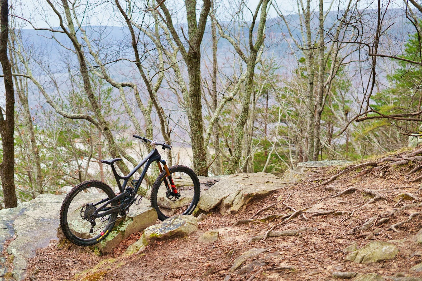 Fahrrad Verkäufe -Fahrrad Verkäufe 79