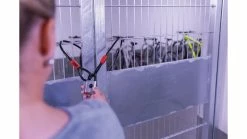 Abus Touch 57/50 Vorhängeschloss -Fahrrad Verkäufe az Abus Touch 5750 Vorhaengeschloss 5 silber 227670