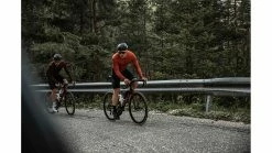 BIEHLER Bidon 500 Trinkflasche 0,5L 13 BIEHLER Bidon 500 Trinkflasche 0,5L -Fahrrad Verkäufe az BIEHLER Bidon 500 Trinkflasche 05L 3 white 227613