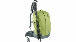 Deuter AC Lite 21 SL -Fahrrad Verkäufe az Deuter AC Lite 21 SL 8 pistachioteal 220630