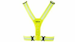 Wowow Nokta Light Belt